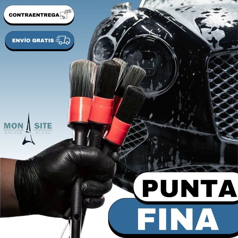 Set 5 Cepillos para Auto
